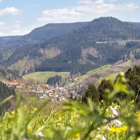 Guest house Gaestehaus Haaser Bad Peterstal-Griesbach