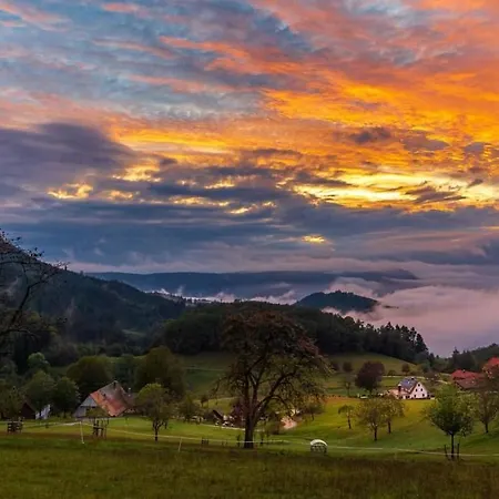 Guest house Gaestehaus Haaser Bad Peterstal-Griesbach