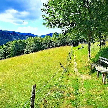Gaestehaus Haaser Guest house Bad Peterstal-Griesbach