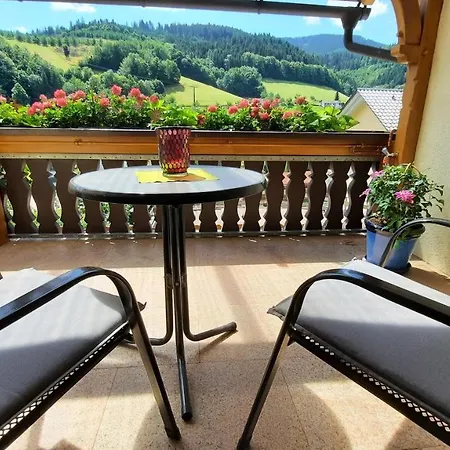 Gaestehaus Haaser Bad Peterstal-Griesbach